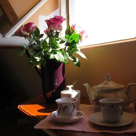 Wild Roses Bed & Breakfast Amsterdam Cameră foto